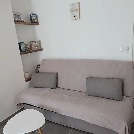 Apartment Zen Avec Jardin, Terrasse, Proche Plages Sainte-marie 66 *